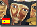 <B>Spanish Language and Culture</B> </font><br><span style="COLOR: #655ccb">[09 Feb 2007]</span> 