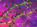 Institute of Biomedical and Biomolecular Research (IBBR)