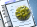 Press Releases