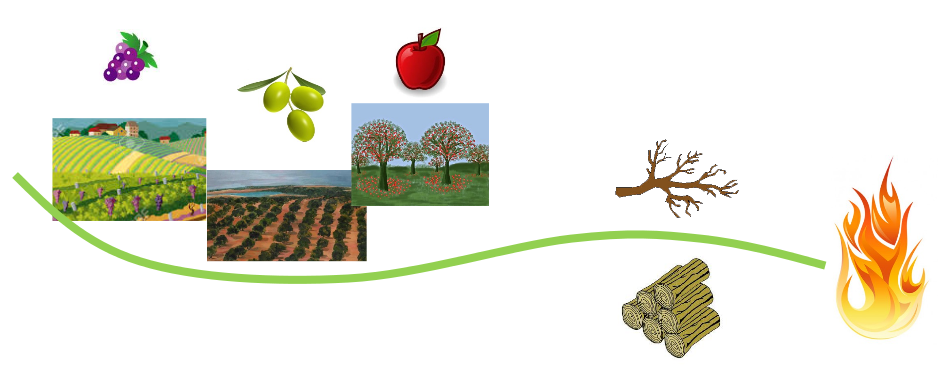 Ενεργειακή αξιοποίηση κλαδεμάτων και εκριζώσεων