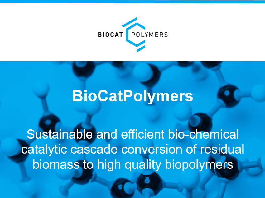  <b>Διεθνής επιστημονική ημερίδα στα πλαίσια του ευρωπαϊκού έργου H2020 BioCatPolymers  </B>