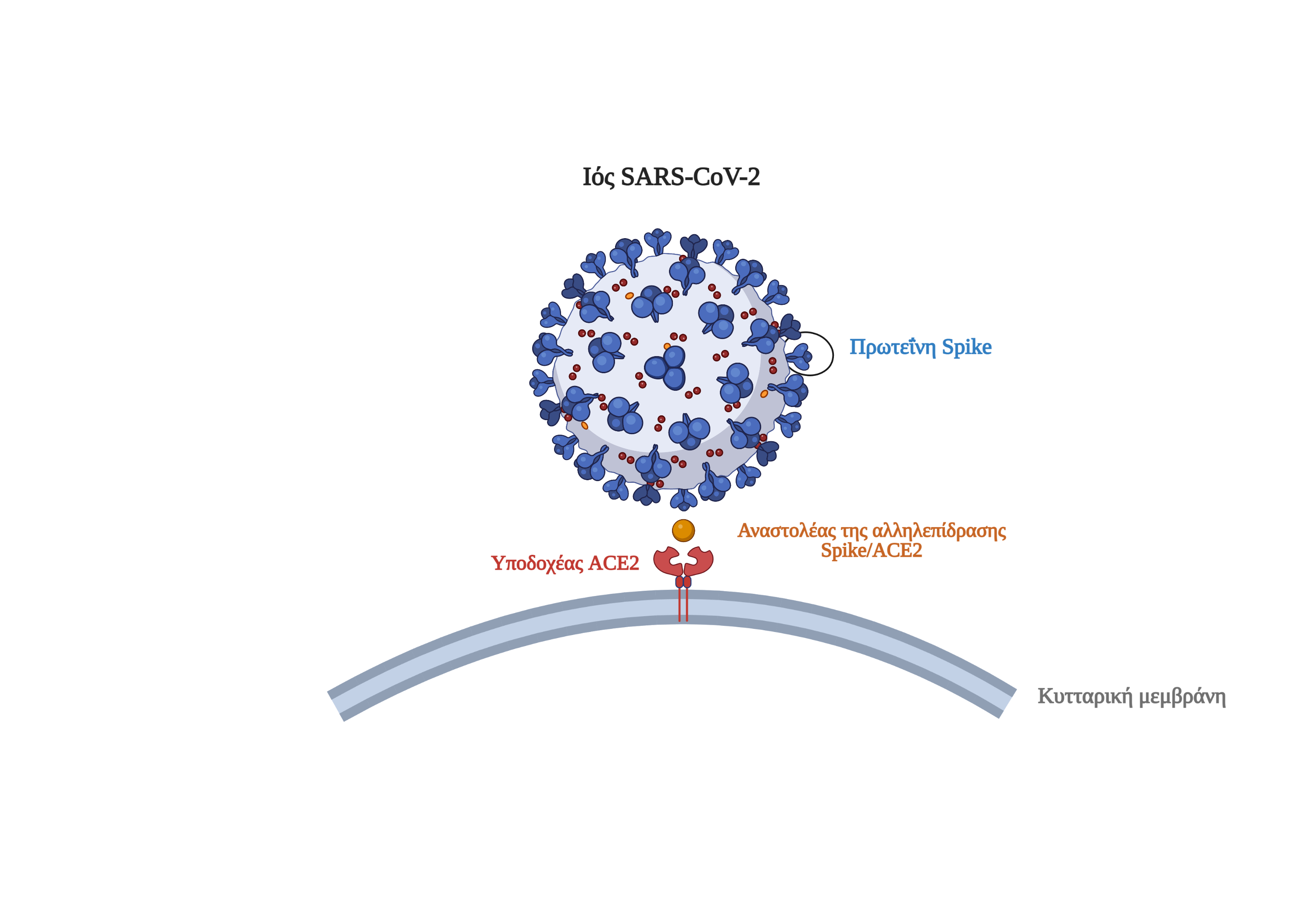 Novel chemical inhibitors of SARS CoV-2 virus