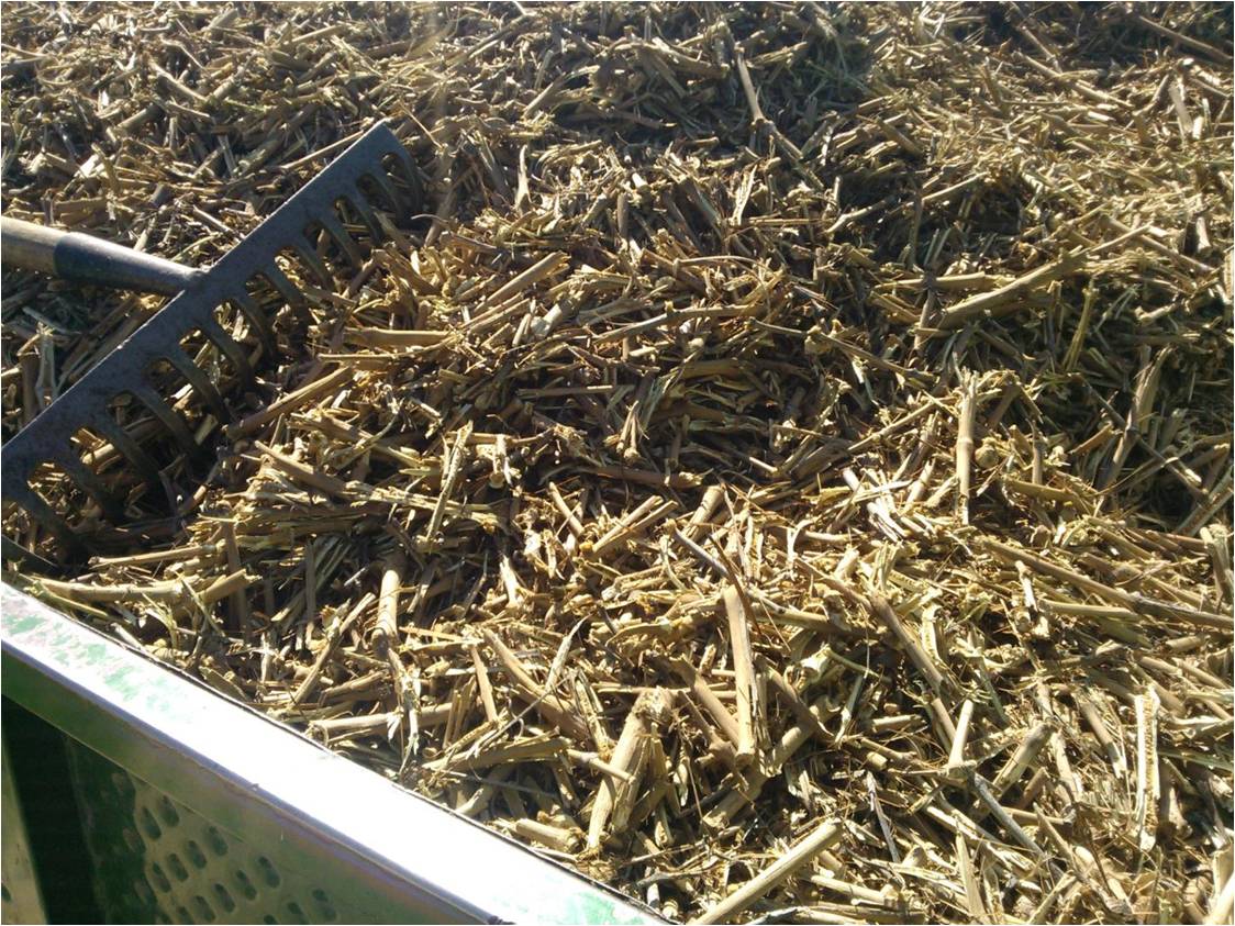 Κλαδέματα αμπελιών