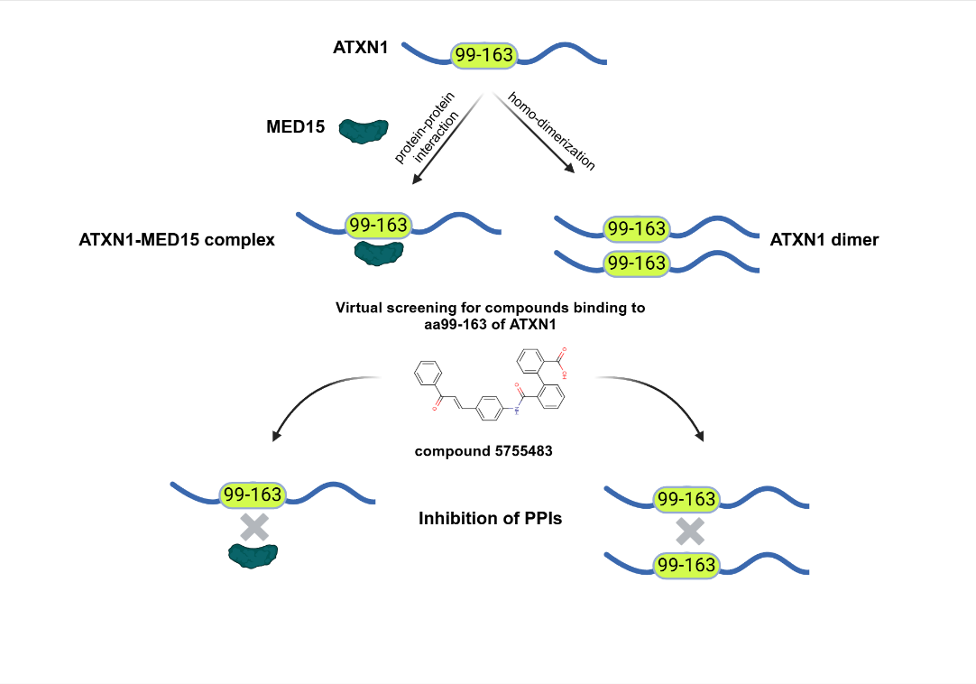 <strong>Νέες χημικές ουσίες για την καταπολέμηση της νευροεκφύλισης</strong><span style="COLOR: #0767b3 !important;"><br />[Δευτέρα, 7 Ιουλίου 2025]</span>
