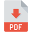 pdf file